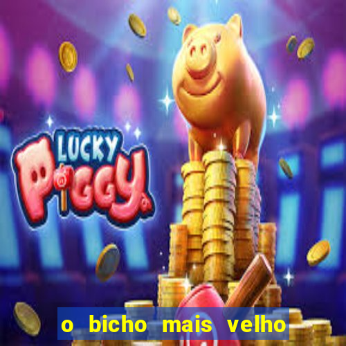 o bicho mais velho da loteria dos sonhos